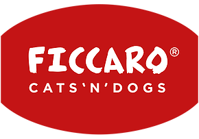ficcaro.es